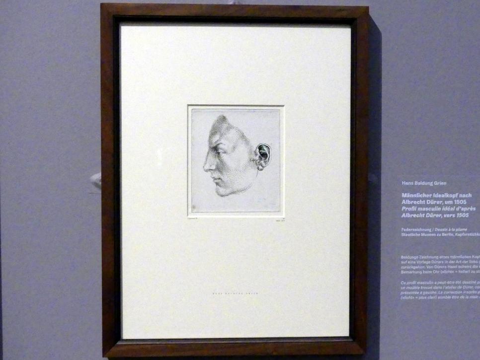 Hans Baldung Grien (1500–1544), Männlicher Idealkopf nach Albrecht Dürer, Karlsruhe, Staatliche Kunsthalle, Ausstellung "Hans Baldung Grien, heilig | unheilig", Saal 1, um 1505, Bild 2/3