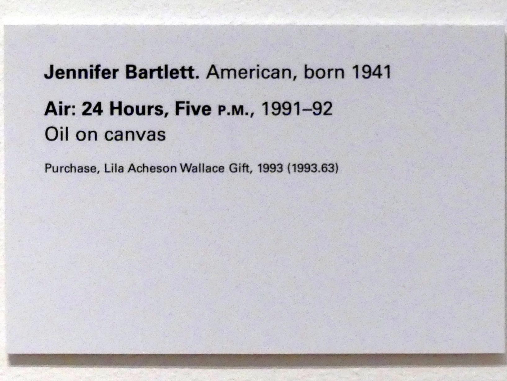 Jennifer Bartlett (1991), Air: 24 Hours, Five P.M. - Luft: 24 Stunden, Siebzehn Uhr, New York, Metropolitan Museum of Art (Met), Saal 915, 1991–1992, Bild 2/2
