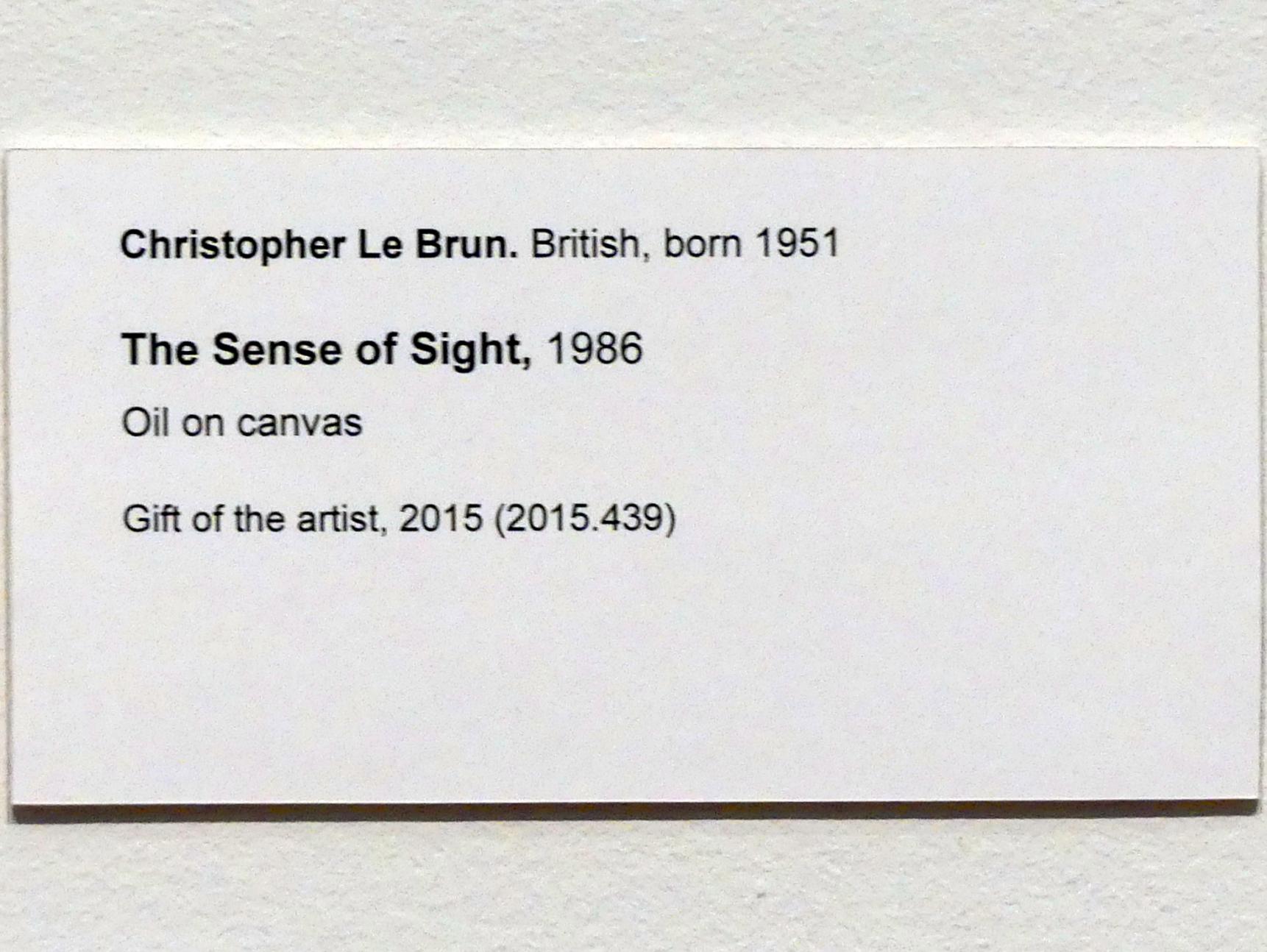 Christopher Le Brun (1986), The Sense of Sight - Der Sehsinn, New York, Metropolitan Museum of Art (Met), Saal 915, 1986, Bild 2/2