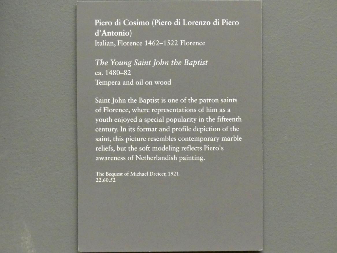 Piero di Cosimo (1481–1512), Johannes der Täufer als Jugendlicher, New York, Metropolitan Museum of Art (Met), Saal 640, um 1480–1482, Bild 2/2