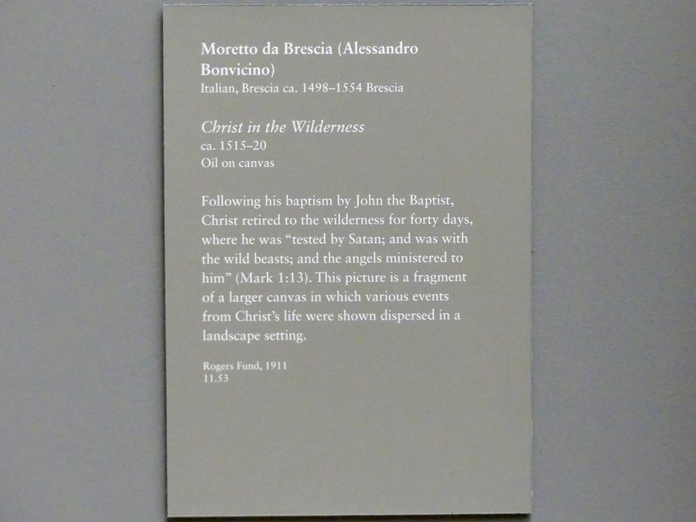 Alessandro Bonvicino (Moretto) (1517–1554), Christus in der Wildnis, New York, Metropolitan Museum of Art (Met), Saal 642, um 1515–1520, Bild 2/2