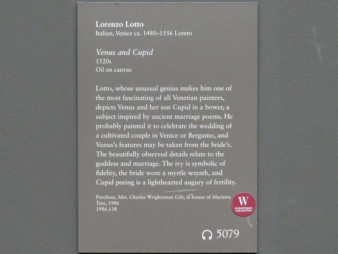 Lorenzo Lotto (1503–1549), Venus und Amor, New York, Metropolitan Museum of Art (Met), Saal 638, um 1520–1530, Bild 2/2