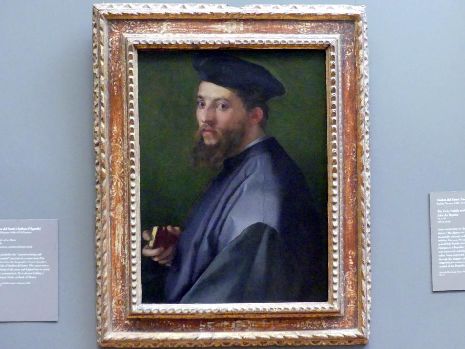Andrea del Sarto (1512–1529), Bildnis eines Mannes, New York, Metropolitan Museum of Art (Met), Saal 638, 1528–1530