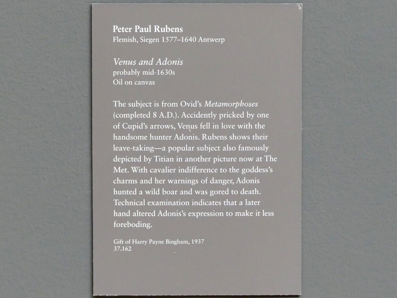 Peter Paul Rubens (1598–1640), Venus und Adonis, New York, Metropolitan Museum of Art (Met), Saal 628, um 1635, Bild 2/2