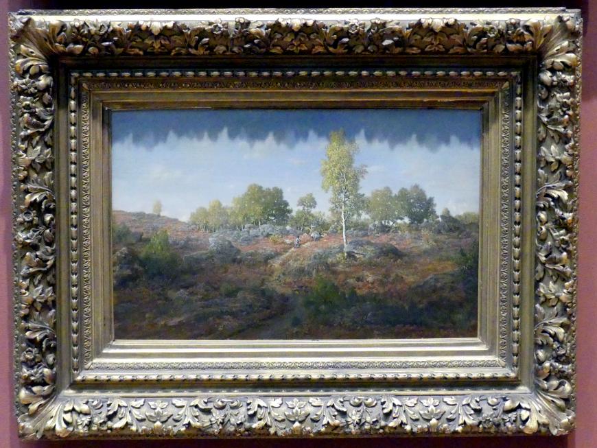 Théodore Rousseau (1827–1862), Weg zwischen den Felsen, New York, Metropolitan Museum of Art (Met), Saal 802, 1861, Bild 1/2