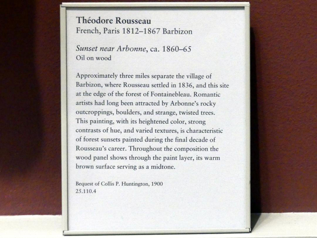 Théodore Rousseau (1827–1862), Sonnenuntergang bei Arbonne, New York, Metropolitan Museum of Art (Met), Saal 802, um 1860–1865, Bild 2/2