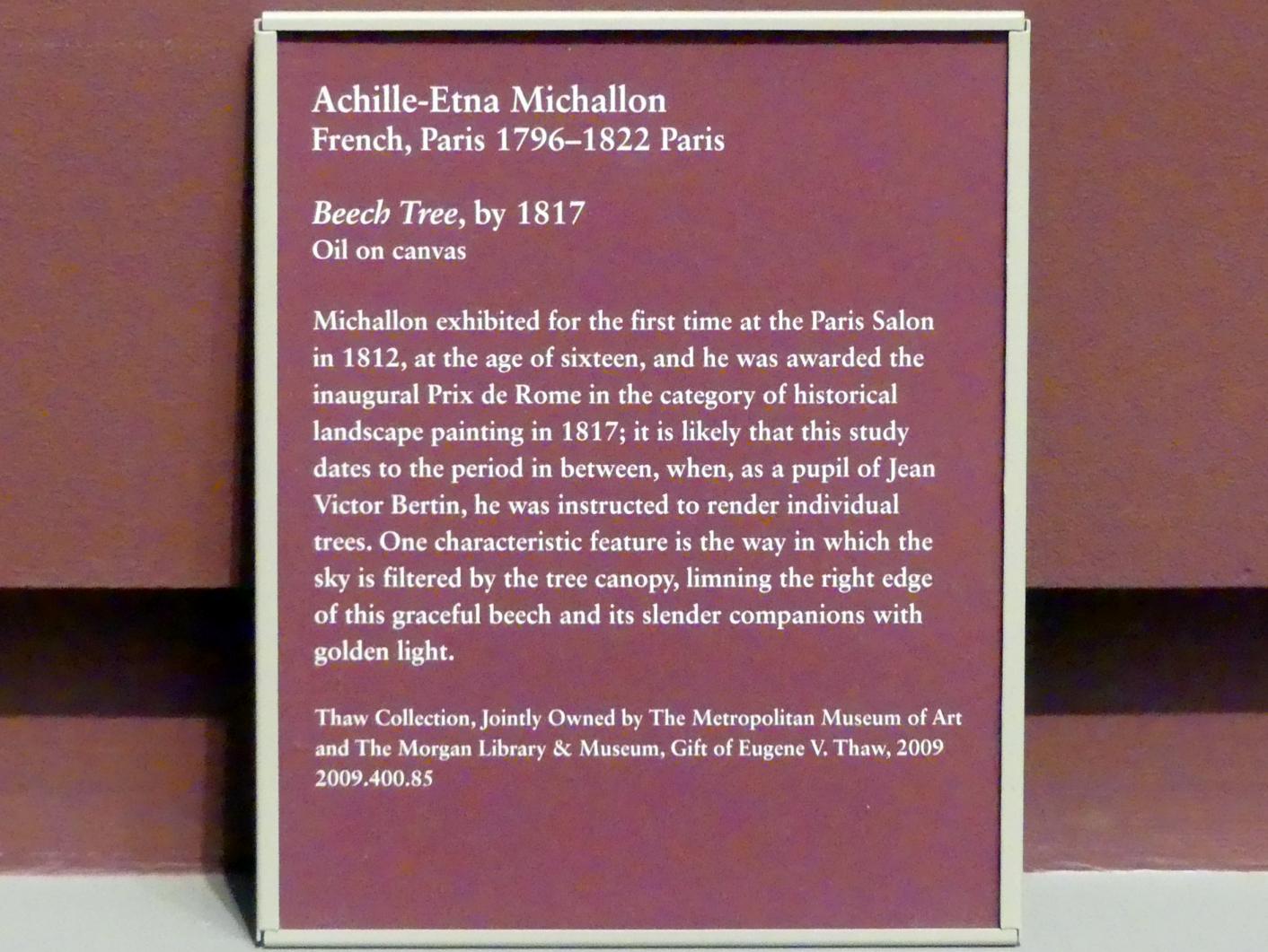 Achille Etna Michallon (1816–1822), Buche, New York, Metropolitan Museum of Art (Met), Saal 805, vor 1817, Bild 2/2