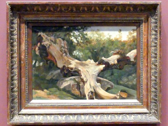 Antoine-Xavier-Gabriel de Gazeau, Comte de La Bouëre (1833–1836), Entwurzelter Baum bei Olevano Romano, New York, Metropolitan Museum of Art (Met), Saal 805, 1833