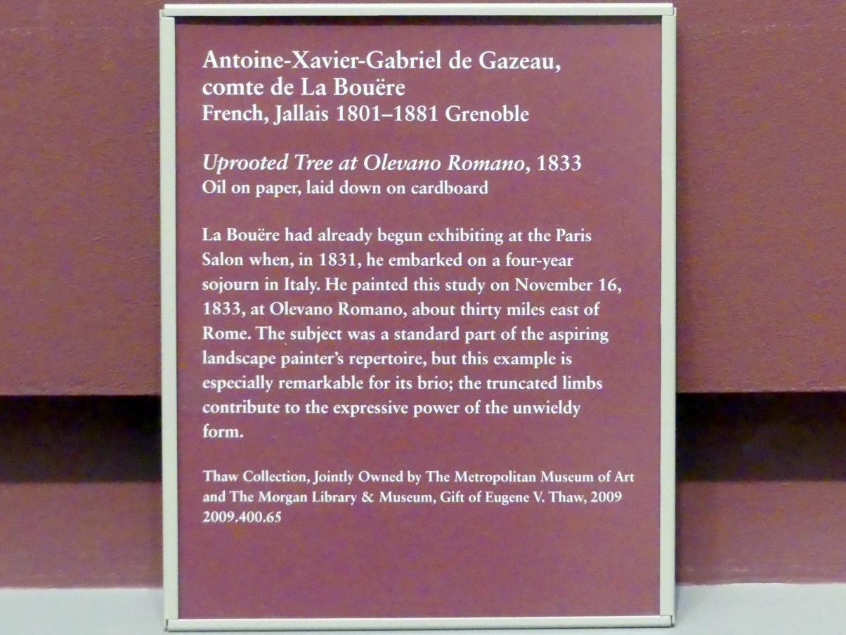 Antoine-Xavier-Gabriel de Gazeau, Comte de La Bouëre (1833–1836), Entwurzelter Baum bei Olevano Romano, New York, Metropolitan Museum of Art (Met), Saal 805, 1833, Bild 2/2