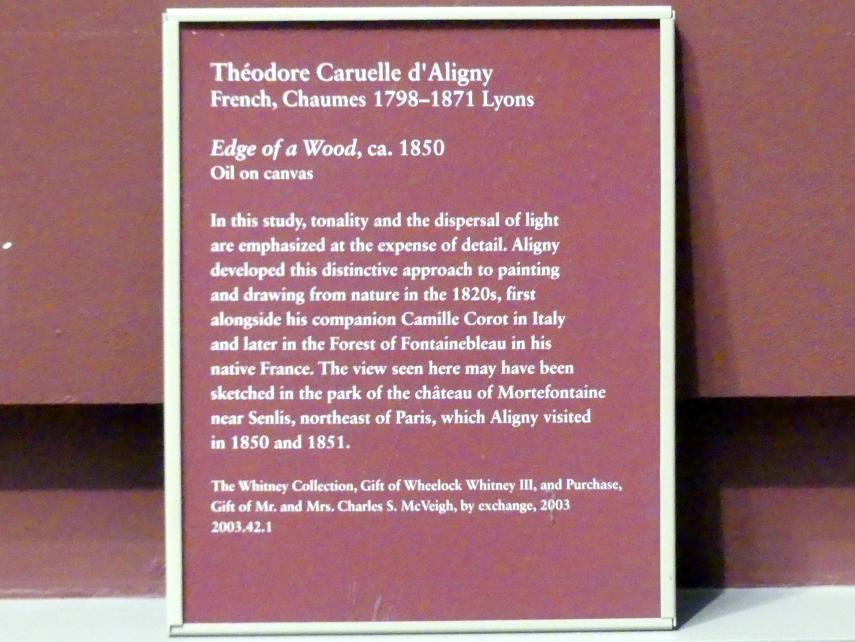 Claude-Félix-Théodore Aligny (Caruelle d’Aligny) (1825–1850), Waldrand, New York, Metropolitan Museum of Art (Met), Saal 805, um 1850, Bild 2/2