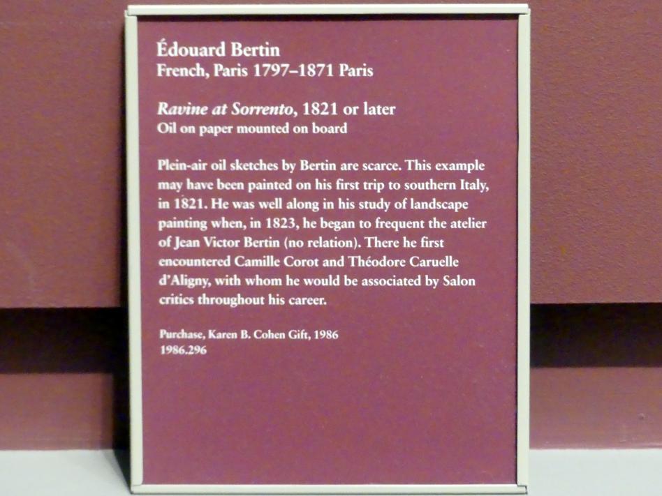 Édouard Bertin (1822–1826), Schlucht bei Sorrent, New York, Metropolitan Museum of Art (Met), Saal 805, nach 1821, Bild 2/2