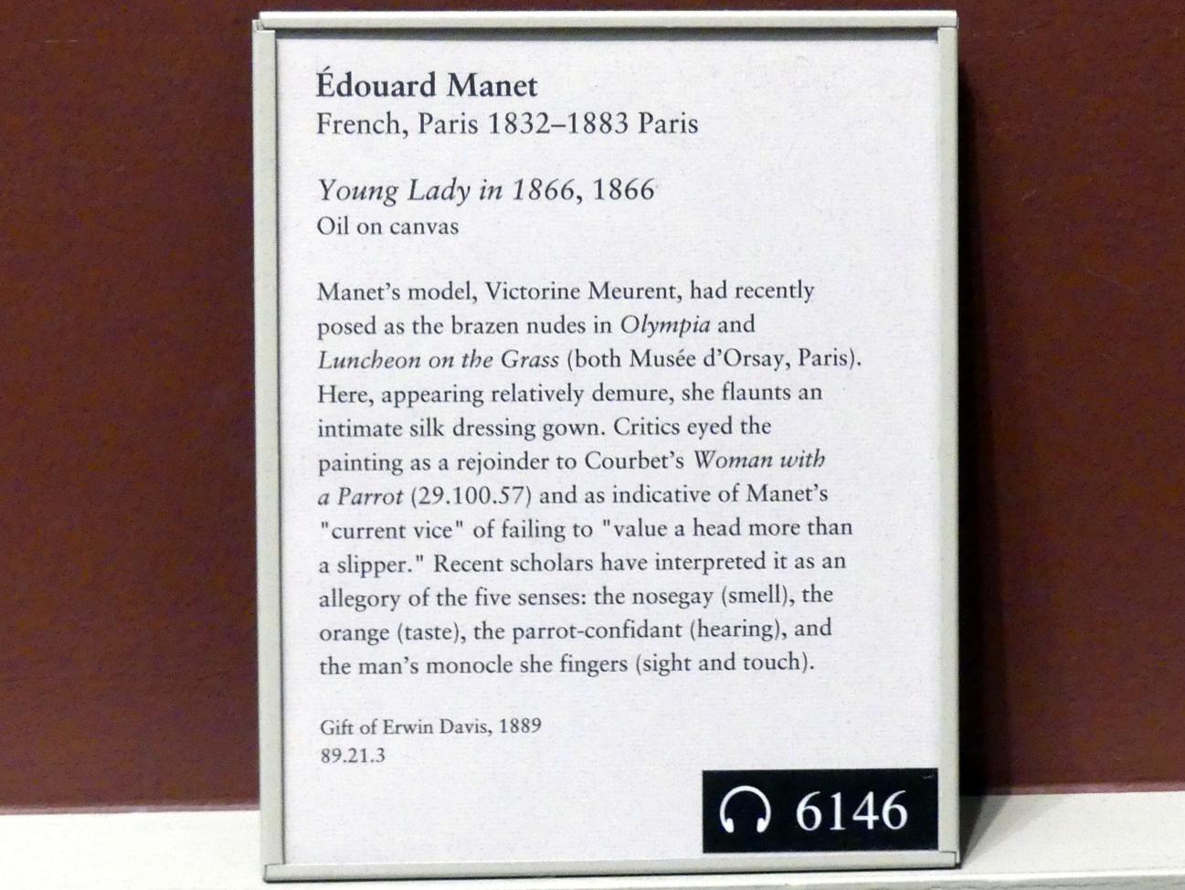 Édouard Manet (1855–1882), Junge Dame aus dem Jahr 1866, New York, Metropolitan Museum of Art (Met), Saal 810, 1866, Bild 2/2