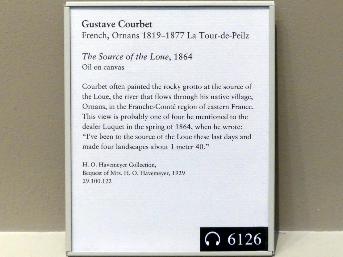 Gustave Courbet (1849–1874), Die Loue-Quelle, New York, Metropolitan Museum of Art (Met), Saal 812, 1864, Bild 2/2