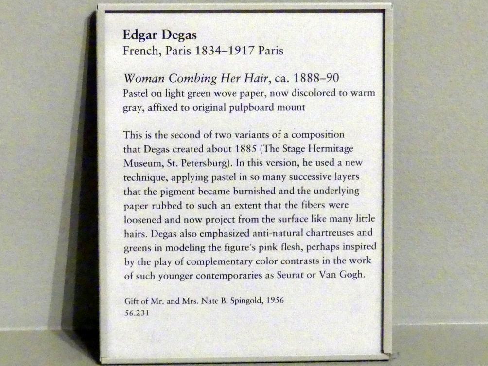 Edgar Degas (1855–1909), Frau kämmt ihr Haar, New York, Metropolitan Museum of Art (Met), Saal 817, um 1888–1890, Bild 2/2