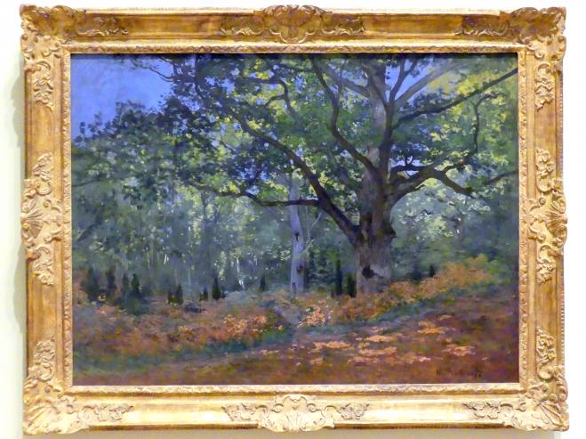 Claude Monet (1864–1925), Die Bodmer Eiche, Wald von Fontainebleau, New York, Metropolitan Museum of Art (Met), Saal 818, 1865, Bild 1/2