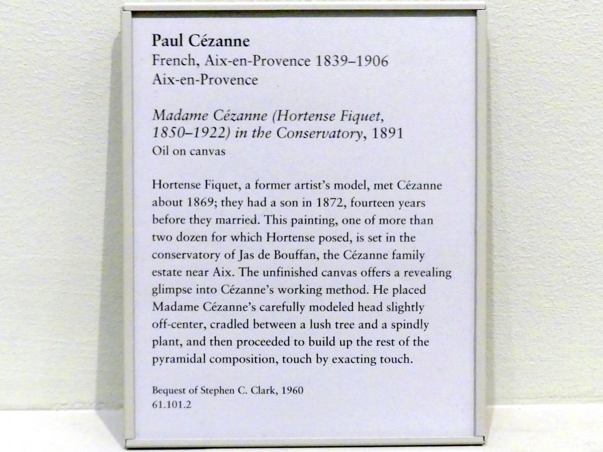 Paul Cézanne (1866–1906), Madame Cézanne (Hortense Fiquet, 1850-1922) im Konservatorium, New York, Metropolitan Museum of Art (Met), Saal 826, 1891, Bild 2/2