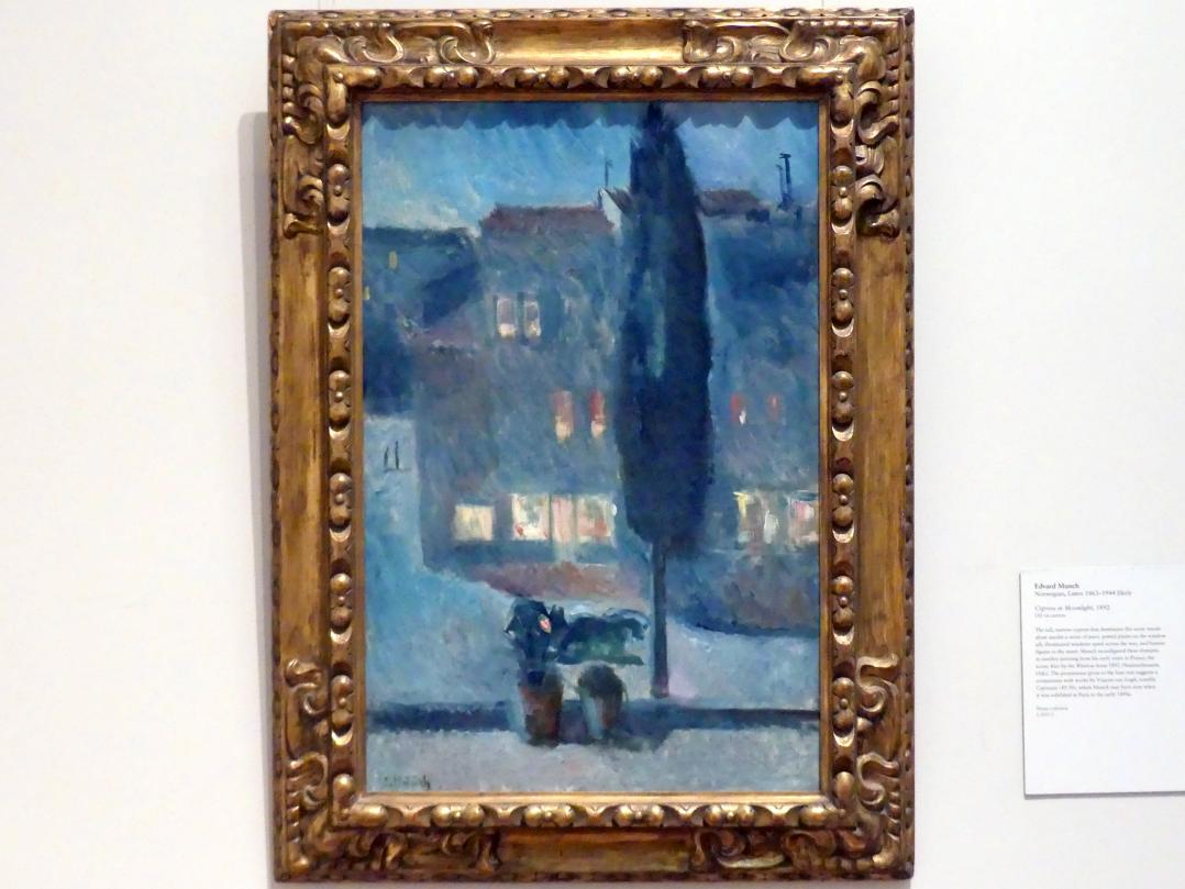 Edvard Munch (1888–1925), Zypressen im Mondllicht, New York, Metropolitan Museum of Art (Met), Saal 829, 1892, Bild 1/2