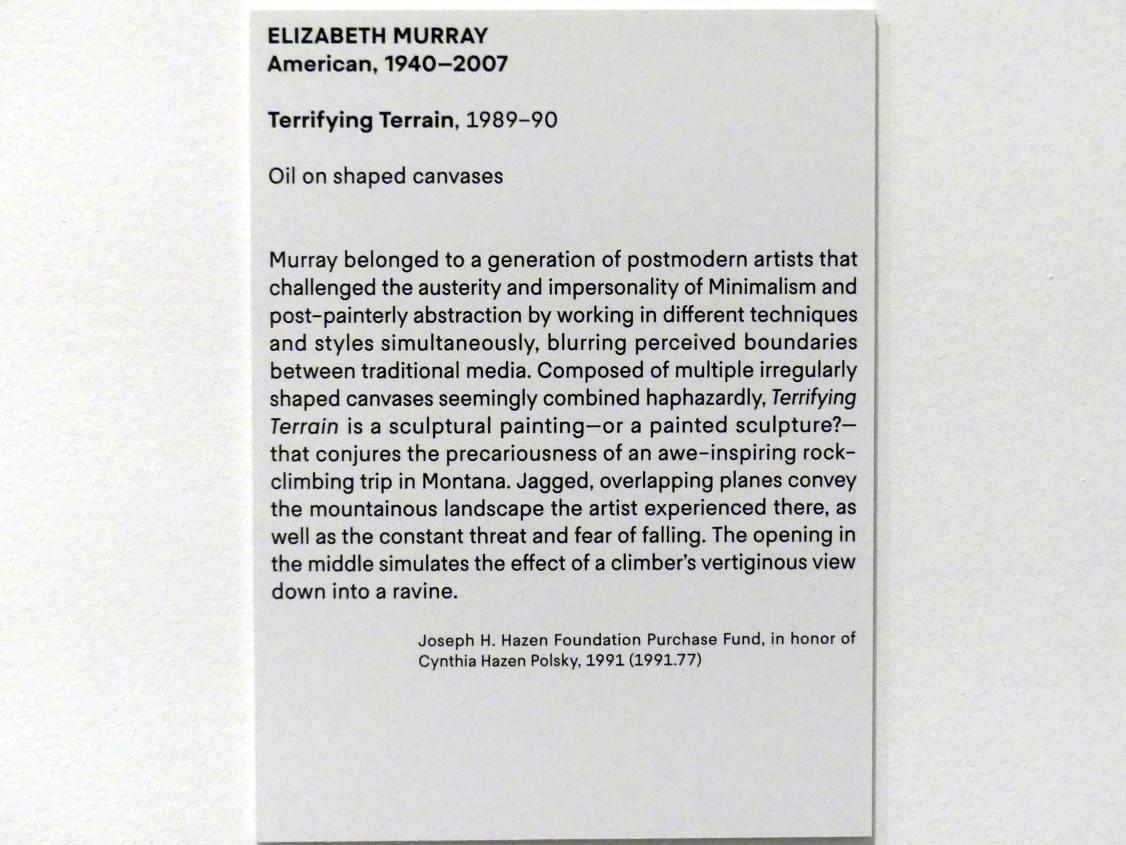 Elizabeth Murray (1987–1989), Terrifying Terrain - Furcht erregendes Terrain, New York, Metropolitan Museum of Art (Met), Saal 925, 1989–1990, Bild 2/2