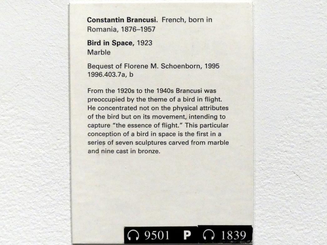 Constantin Brâncuși (1911–1942), Vogel im Raum, New York, Metropolitan Museum of Art (Met), Saal 901, 1923, Bild 4/4