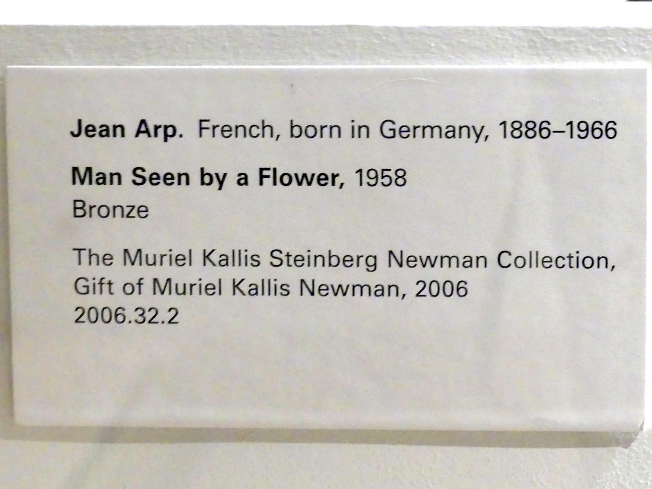 Hans (Jean) Arp (1914–1965), Mensch aus der Sicht einer Blume, New York, Metropolitan Museum of Art (Met), Saal 903, 1958, Bild 3/3