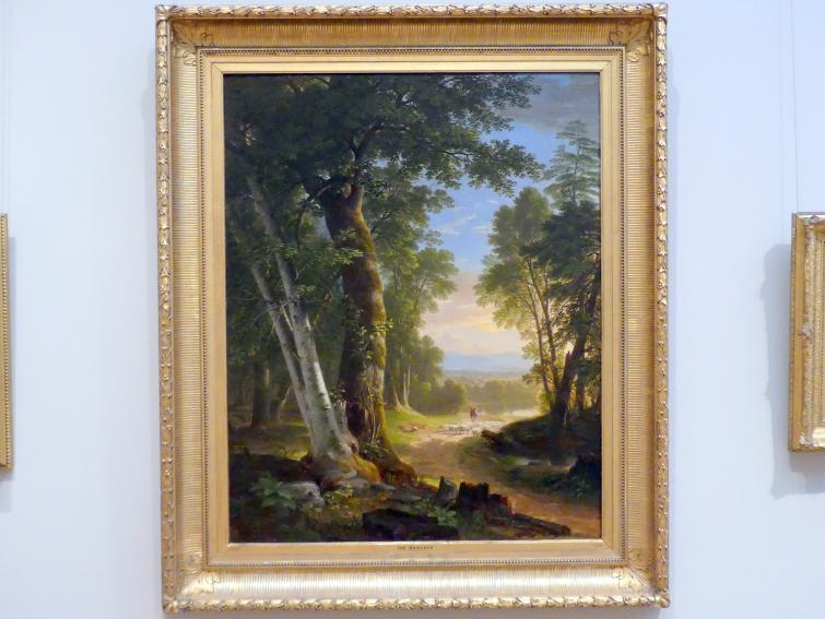 Asher Brown Durand (1833–1865), Buchenwald, New York, Metropolitan Museum of Art (Met), Saal 759, 1845, Bild 1/2