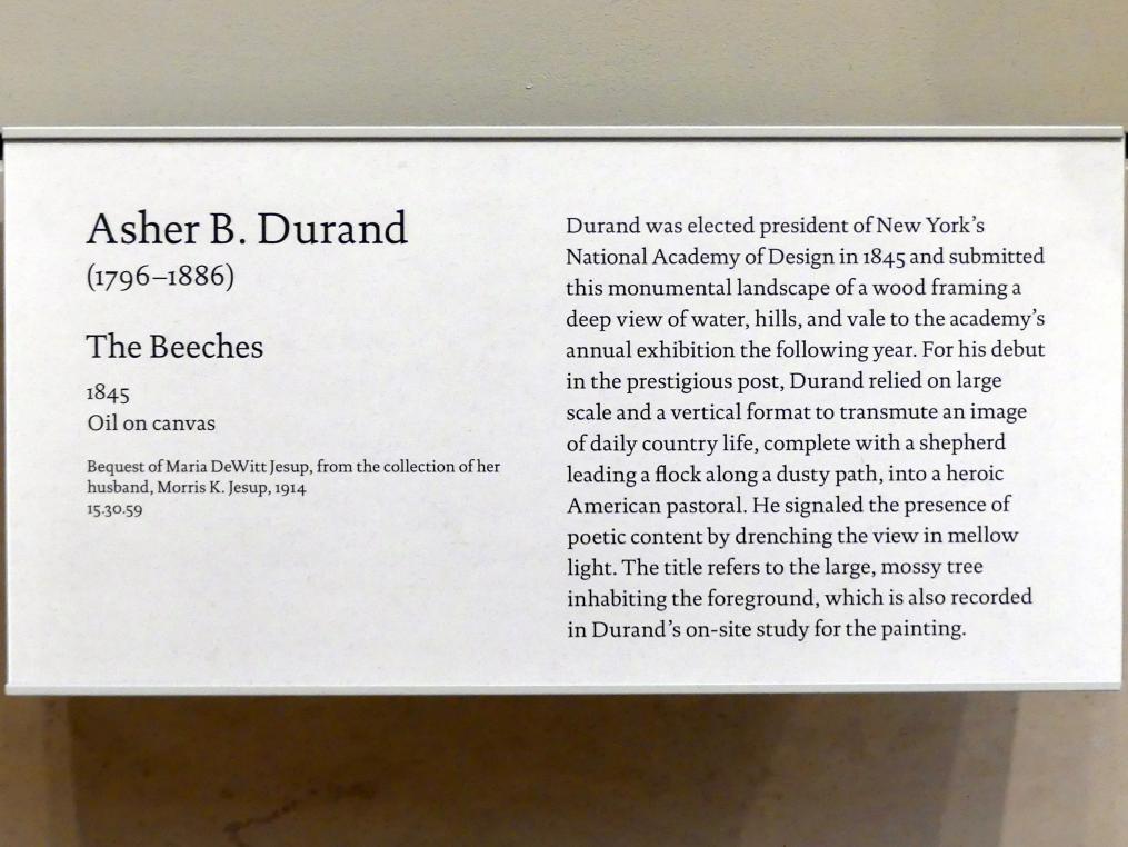 Asher Brown Durand (1833–1865), Buchenwald, New York, Metropolitan Museum of Art (Met), Saal 759, 1845, Bild 2/2