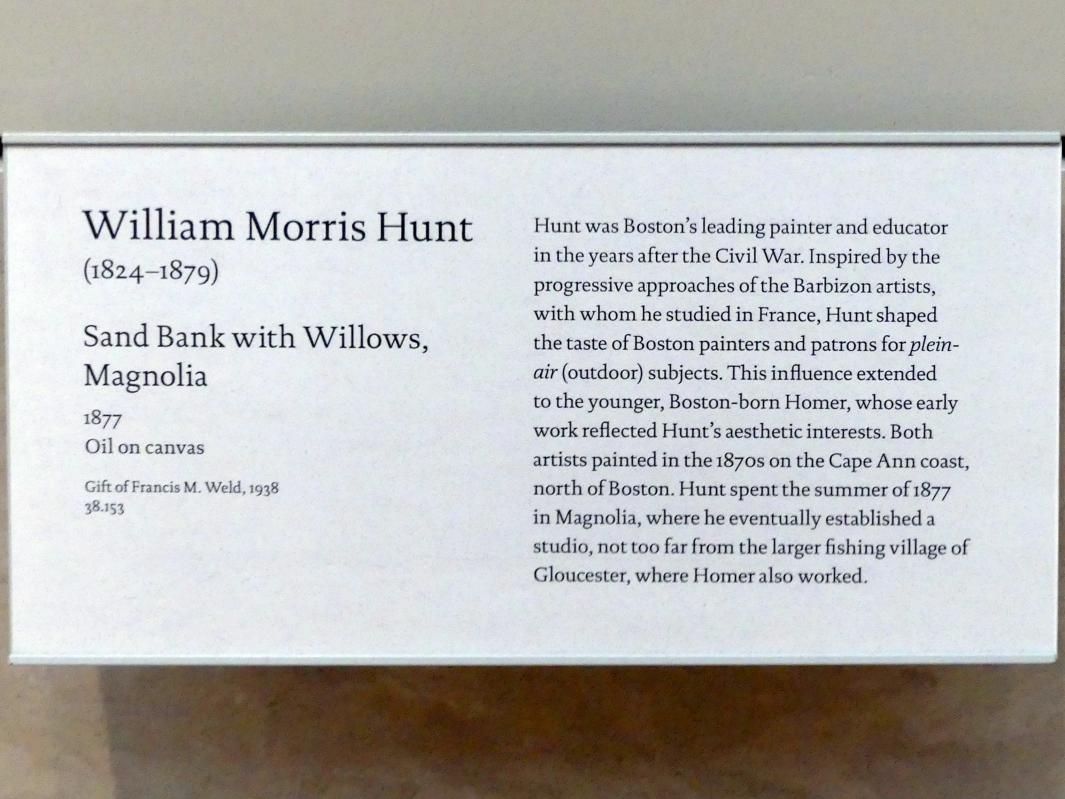 William Morris Hunt (1852–1877), Sandbank mit Weiden, Magnolie, New York, Metropolitan Museum of Art (Met), Saal 767, 1877, Bild 2/2