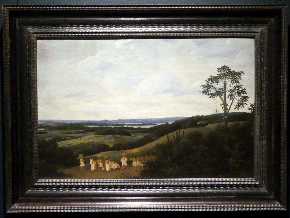 Frans Post (1638–1665), Eine brasilianische Landschaft, New York, Metropolitan Museum of Art (Met), Saal 965, 1650, Bild 1/2