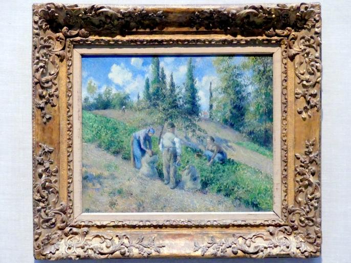 Camille Pissarro (1863–1903), Die Ernte, Pontoise (La Récolte, Pontoise), New York, Metropolitan Museum of Art (Met), Saal 961, 1881, Bild 1/2