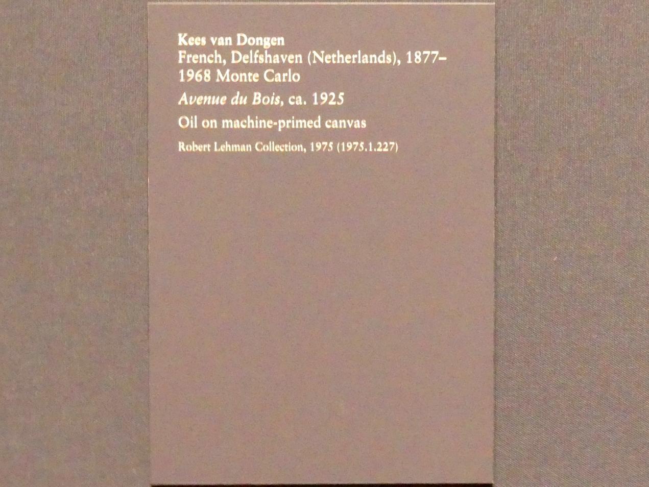 Kees van Dongen (1904–1955), Avenue du Bois, New York, Metropolitan Museum of Art (Met), Saal 955, um 1925, Bild 2/2