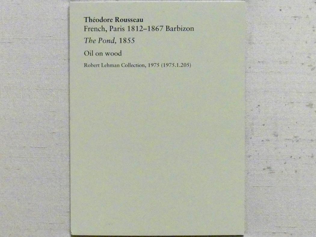 Théodore Rousseau (1827–1862), Der Teich, New York, Metropolitan Museum of Art (Met), Saal 957, 1855, Bild 2/2