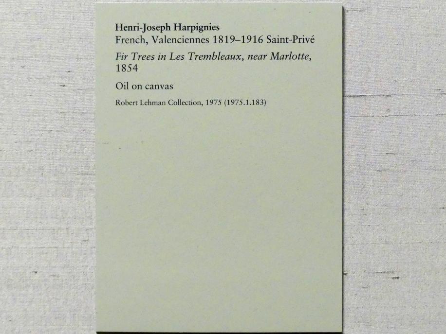 Henri Harpignies (1854–1869), Tannen in Les Trembleaux bei Marlotte (Sapins aux Trembleaux à Marlotte), New York, Metropolitan Museum of Art (Met), Saal 957, 1854, Bild 2/2