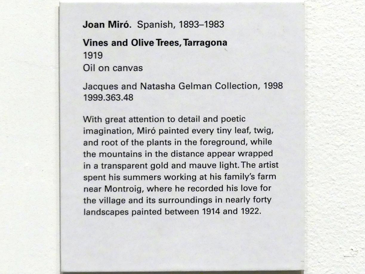 Joan Miró (1917–1970), Weinreben und Olivenbäume, Tarragona, New York, Metropolitan Museum of Art (Met), Saal 906, 1919, Bild 2/2