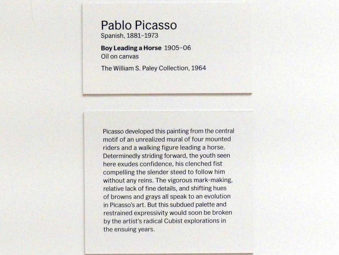Pablo Picasso (1897–1972), Junge mit Pferd, New York, Museum of Modern Art (MoMA), Saal 503, 1905–1906, Bild 2/2