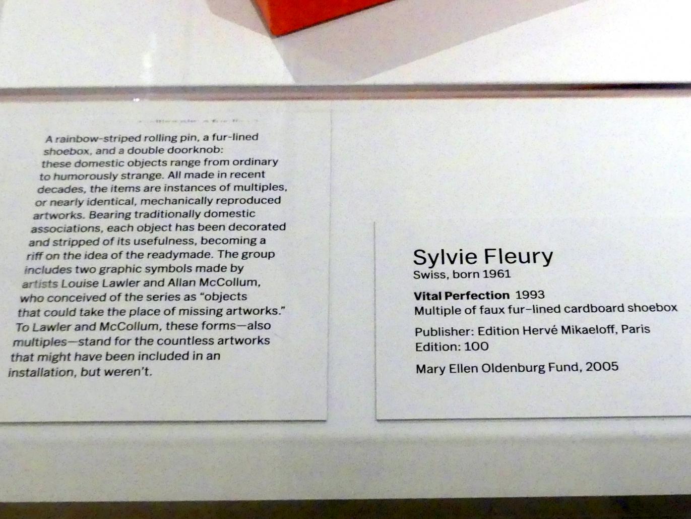 Sylvie Fleury (1993), Lebenswichtige Perfektion, New York, Museum of Modern Art (MoMA), Saal 509, 1993, Bild 2/2