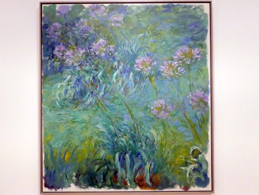 Claude Monet (1864–1925), Schmucklilien, New York, Museum of Modern Art (MoMA), Saal 515, 1914–1926, Bild 1/2