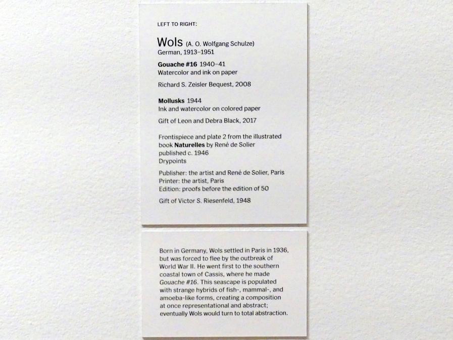 Wols ( Alfred Otto Wolfgang Schulze) (1940–1951), Mollusken, New York, Museum of Modern Art (MoMA), Saal 401, 1944, Bild 3/3