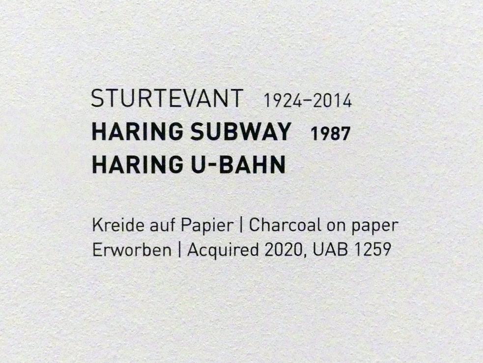 Elaine Sturtevant (1987), Haring U-Bahn, München, Museum Brandhorst, Saal 0.5, 1987, Bild 2/2