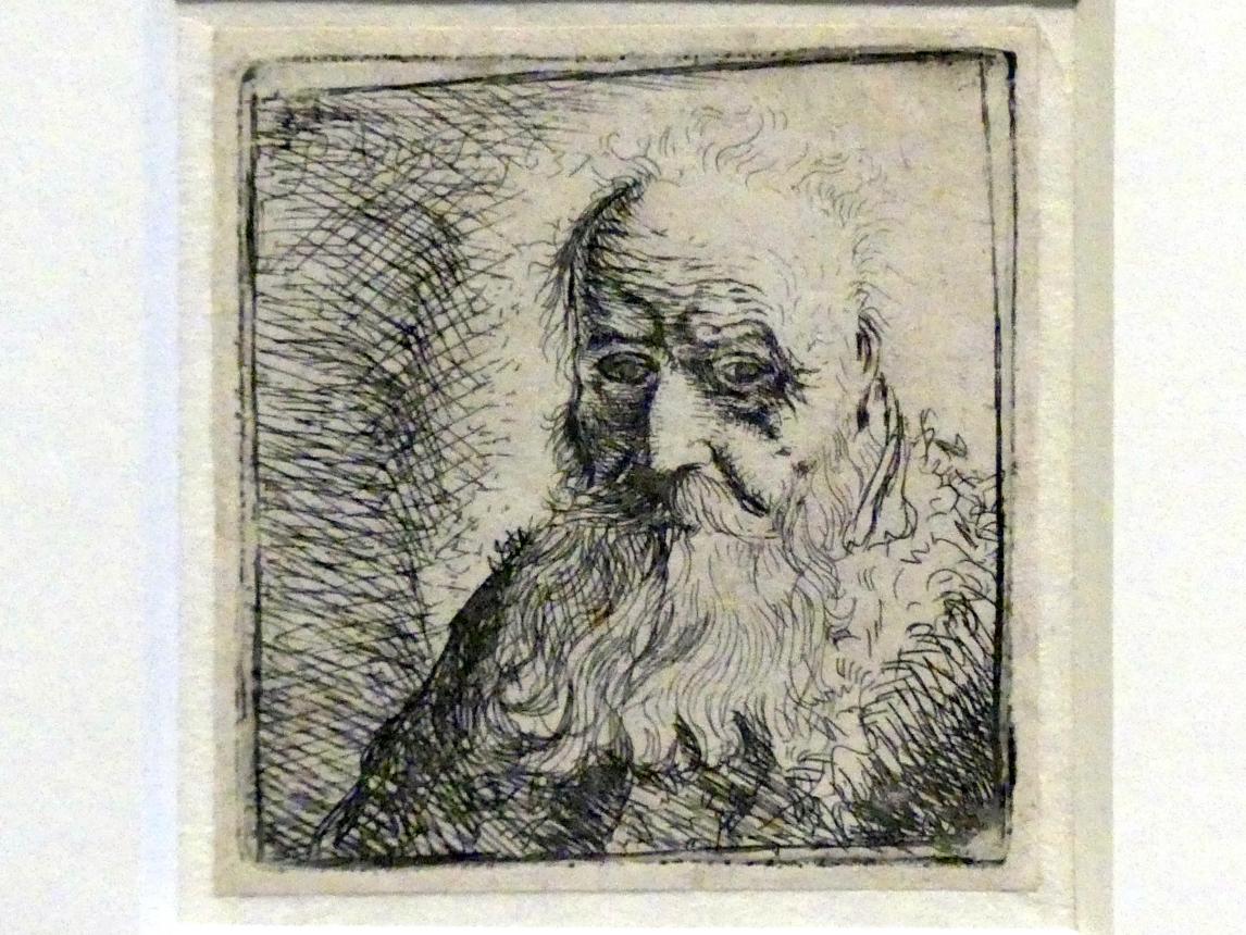 Philips Angel (1637–1650), Büste eines alten Mannes mit Bart, Potsdam, Museum Barberini, Ausstellung "Rembrandts Orient" vom 13.03.-27.06.2021, Saal A5a, 1637, Bild 2/3