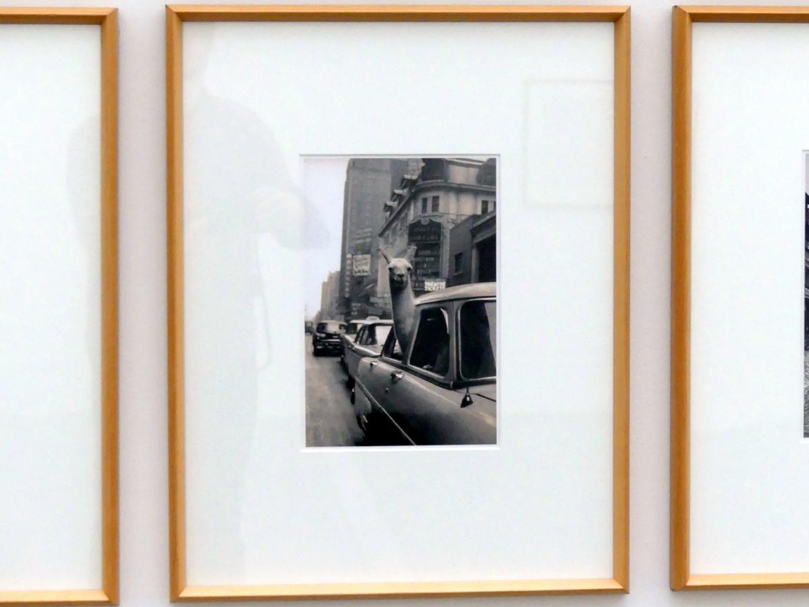 Inge Morath (1953–1958), Time Square, New York, Linz, Lentos Kunstmuseum Linz, Saal 7 - Nachkriegsjahre, 1957