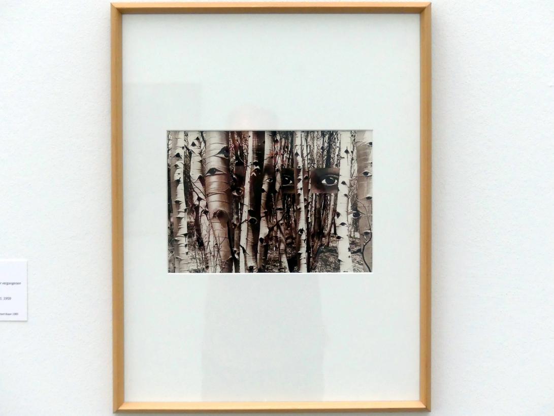 Herbert Bayer (1925–1972), Aspen trees (Auf der Suche nach der vergangenen Zeit), Linz, Lentos Kunstmuseum Linz, Saal 7 - Nachkriegsjahre, 1959