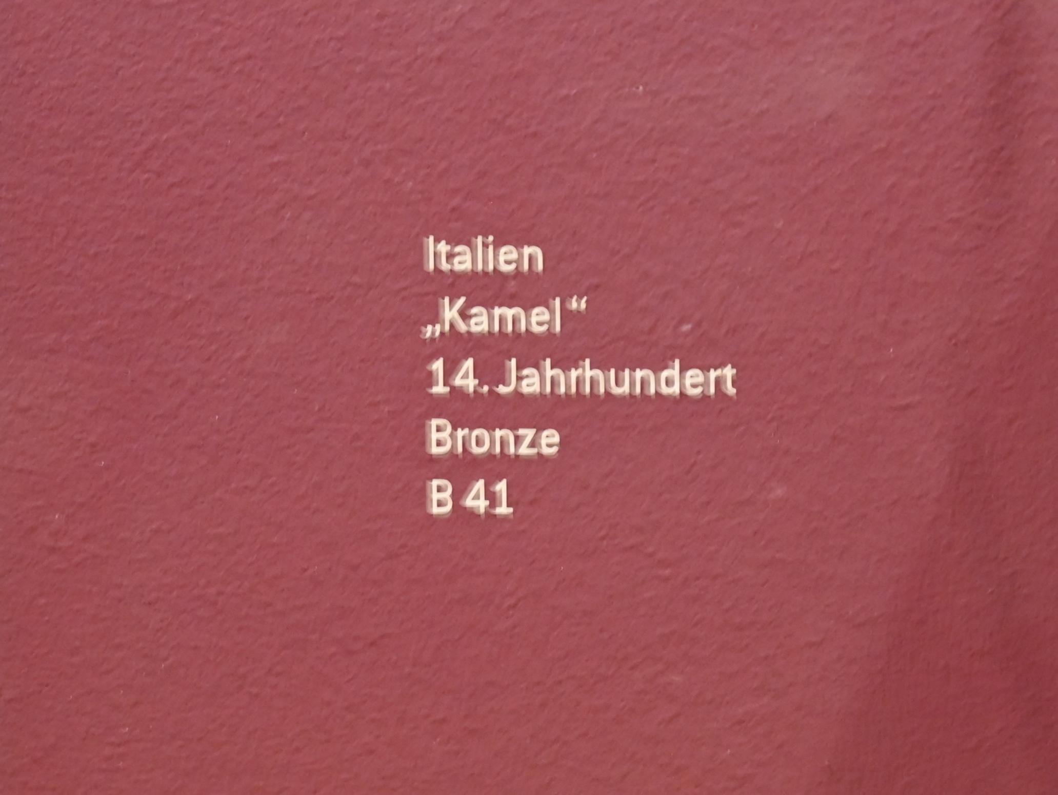 Kamel, Innsbruck, Tiroler Landesmuseum, Ferdinandeum, Mittelalter 3, 14. Jhd., Bild 5/5