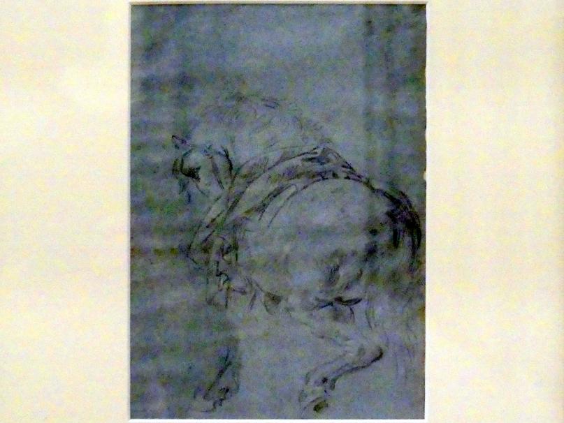 Giovanni Domenico Tiepolo (1743–1785), Pferd in Rückenansicht, Würzburg, Martin von Wagner Museum, Ausstellung "Tiepolo und seine Zeit in Würzburg" vom 31.10.2020-15.07.2021, Saal 2, um 1746–1747