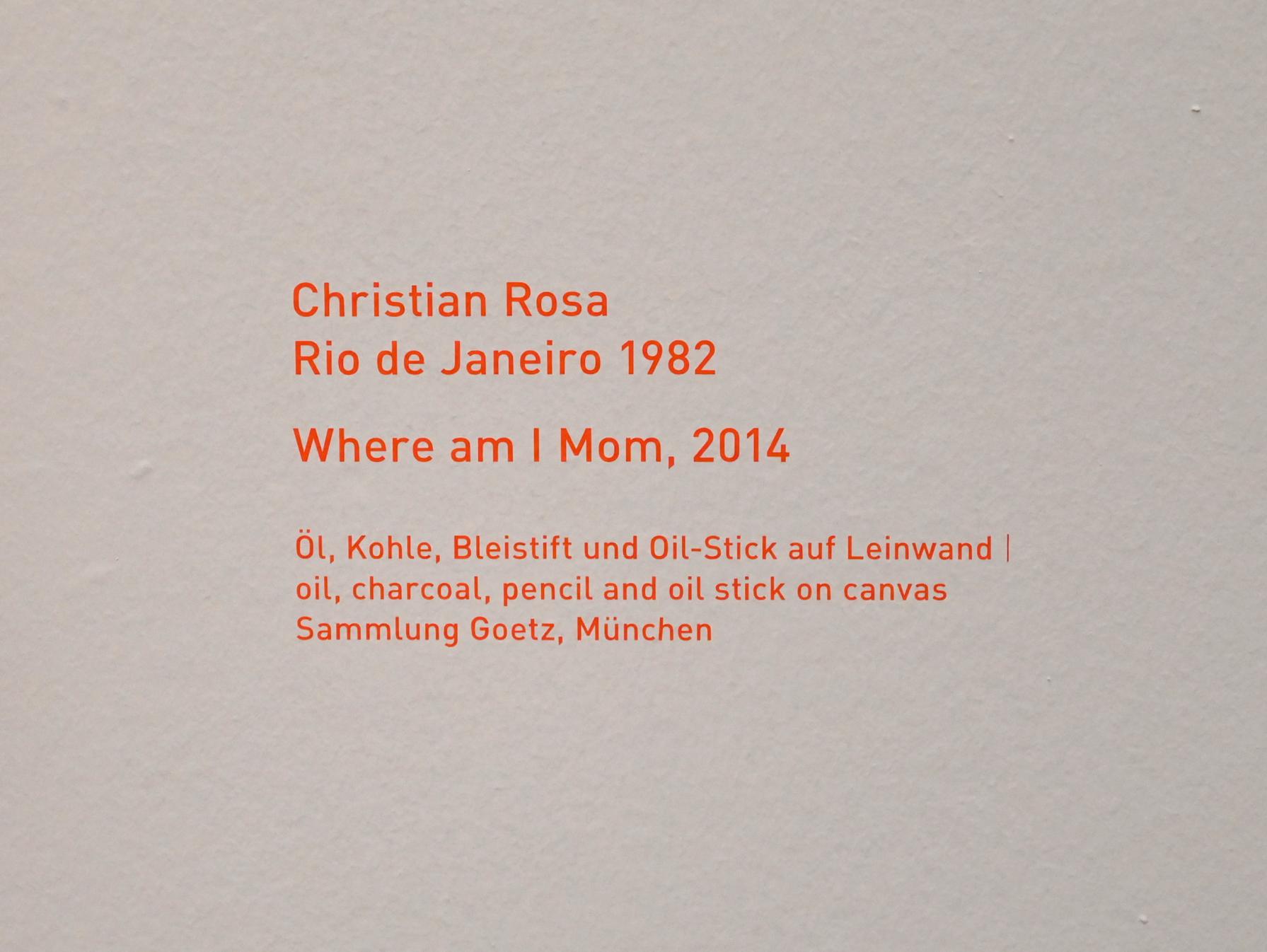 Christian Rosa (2014), Where am I Mom, München, Pinakothek der Moderne, Saal 15, 2014, Bild 2/2