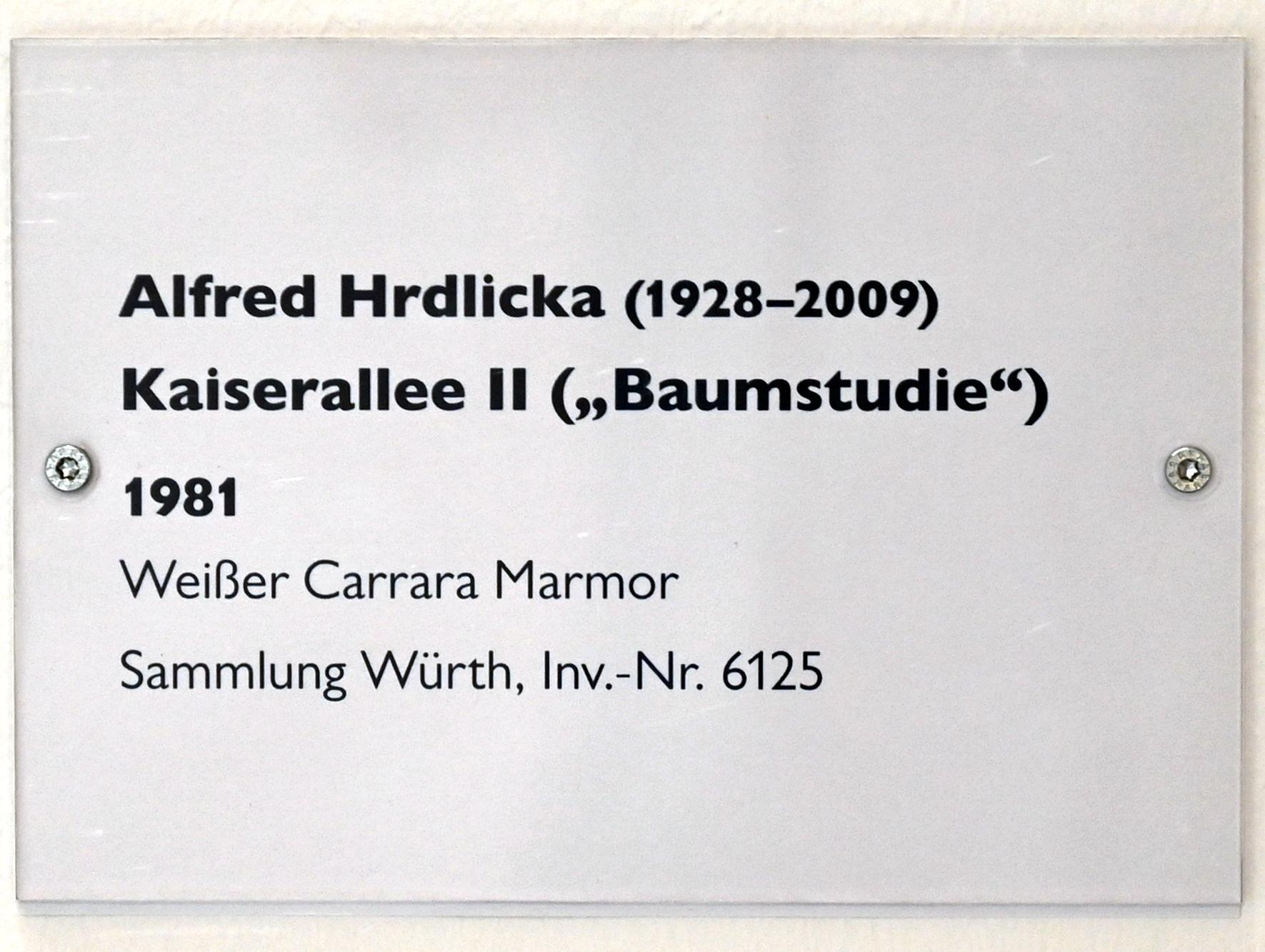 Alfred Hrdlicka (1957–1994), Kaiserallee II ("Baumstudie"), Schwäbisch Hall, Kunsthalle Würth, Untergeschoß Saal 3, 1981, Bild 5/5