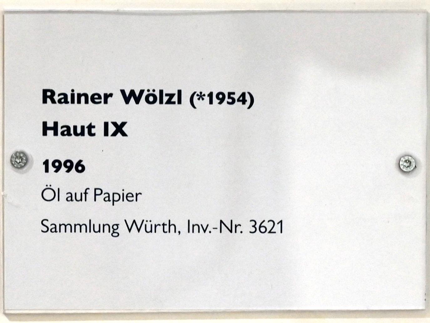 Rainer Wölzl (1996), Haut IX, Schwäbisch Hall, Kunsthalle Würth, Untergeschoß Saal 1, 1996, Bild 2/2