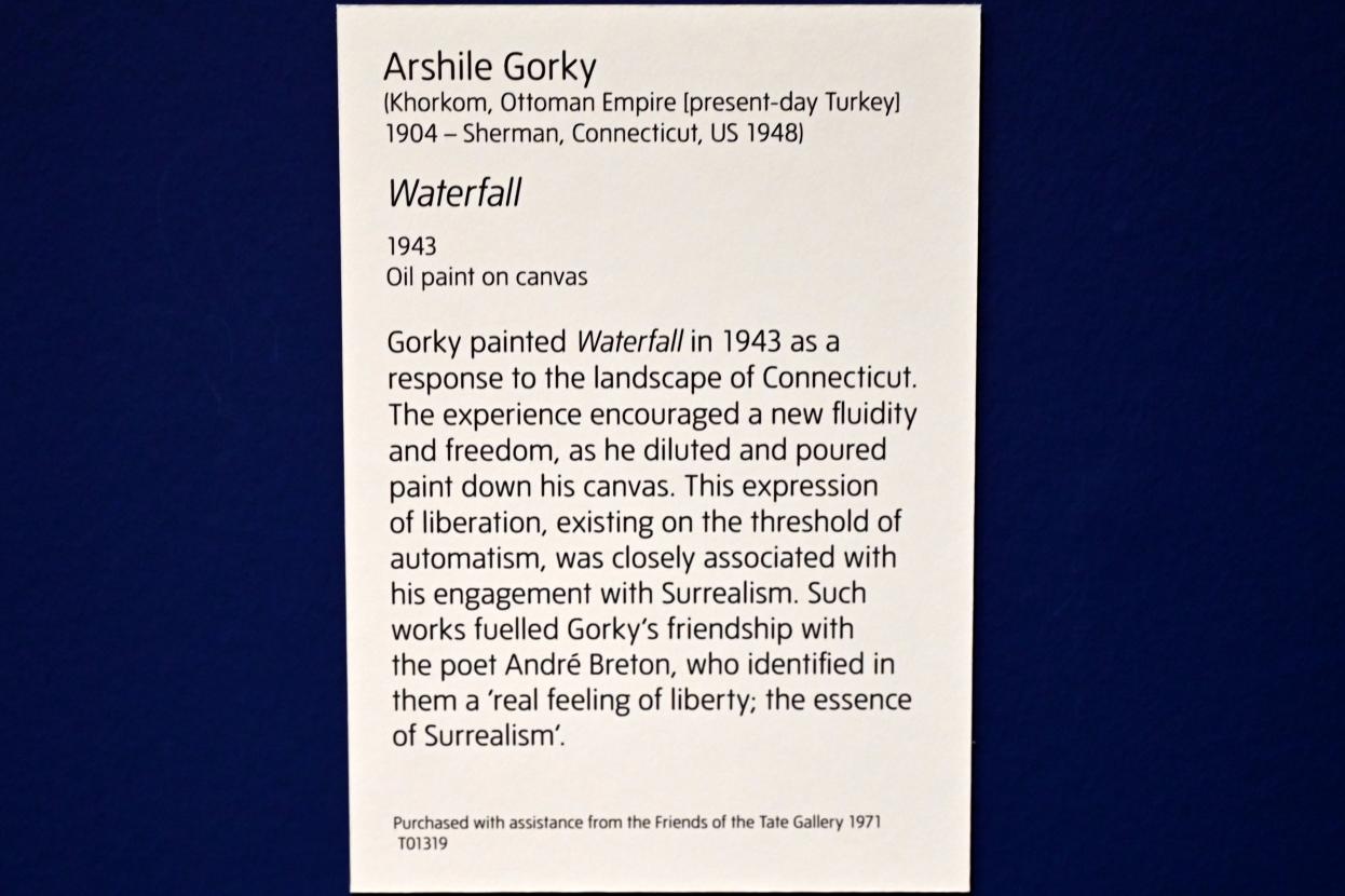 Arshile Gorky (1938–1948), Wasserfall, London, Tate Modern, Ausstellung "Surrealism Beyond Borders" vom 24.02.-29.08.2022, Saal 11, 1943, Bild 2/2