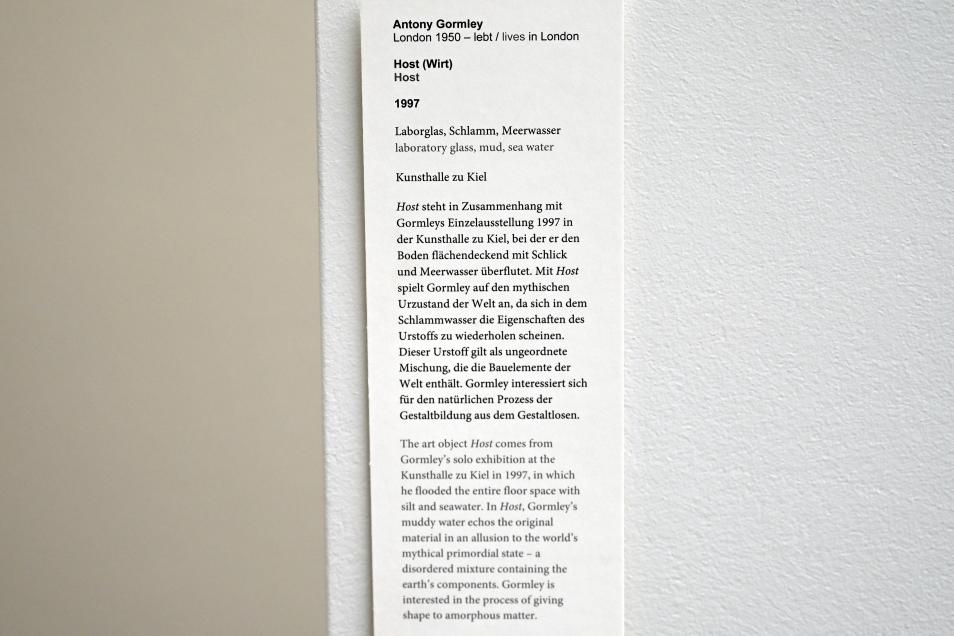 Antony Gormley (1992–2018), Host (Wirt), Kiel, Kunsthalle, Natur als Material, 1997, Bild 3/3