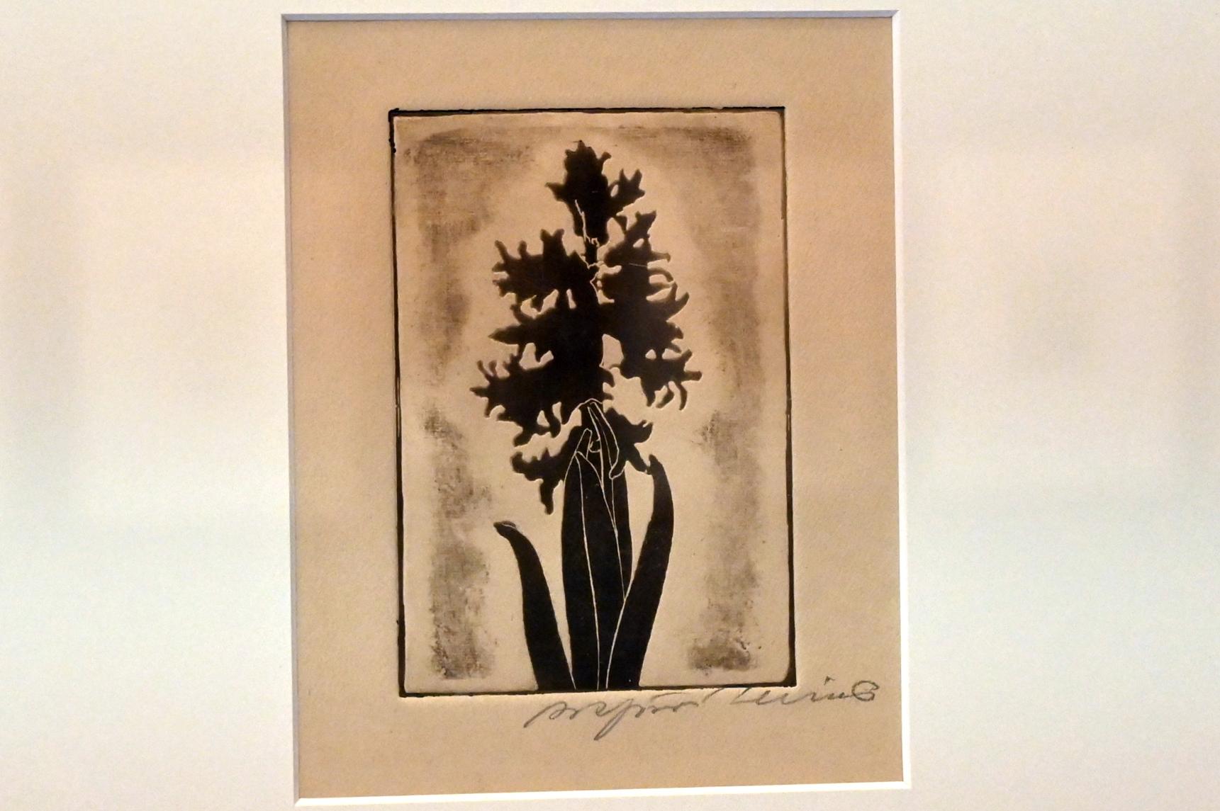 Arthur Illies (1895–1912), Hyazinthe, einfarbig, Kiel, Kunsthalle, Pflanzen, 1895, Bild 1/3
