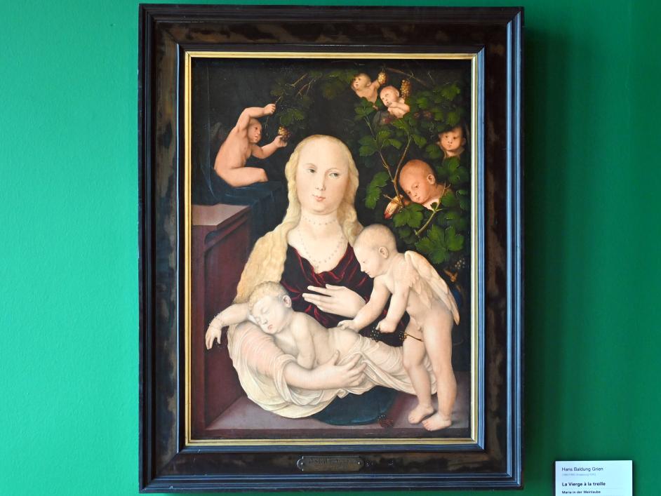 Hans Baldung Grien (1500–1544), Maria in der Weinlaube, Straßburg, Musée de l’Œuvre Notre-Dame (Frauenhausmuseum), 1541–1543, Bild 1/3
